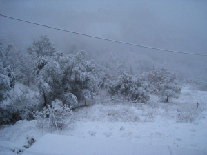2010-neige-massoins-002
